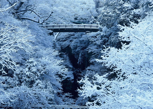 日本三奇橋・猿橋