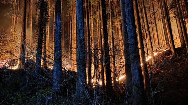 山火事イメージ画像