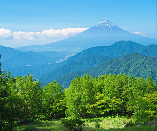 雁ケ腹摺山からの富士山の眺め