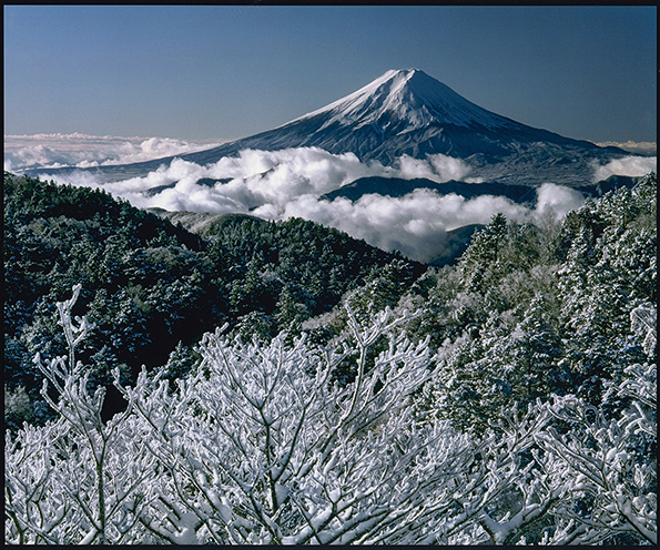 小金沢山からの絶景