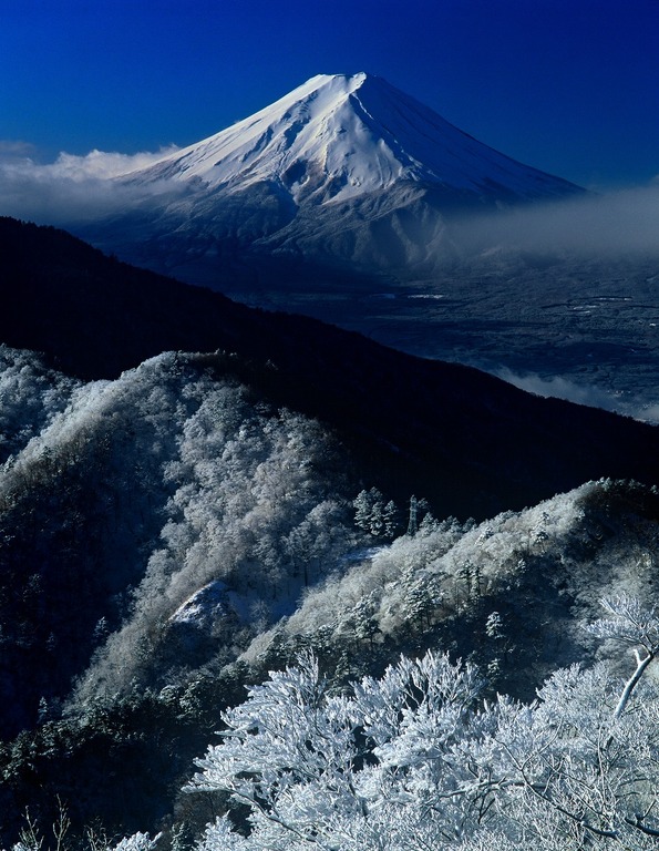 本社ケ丸からの絶景