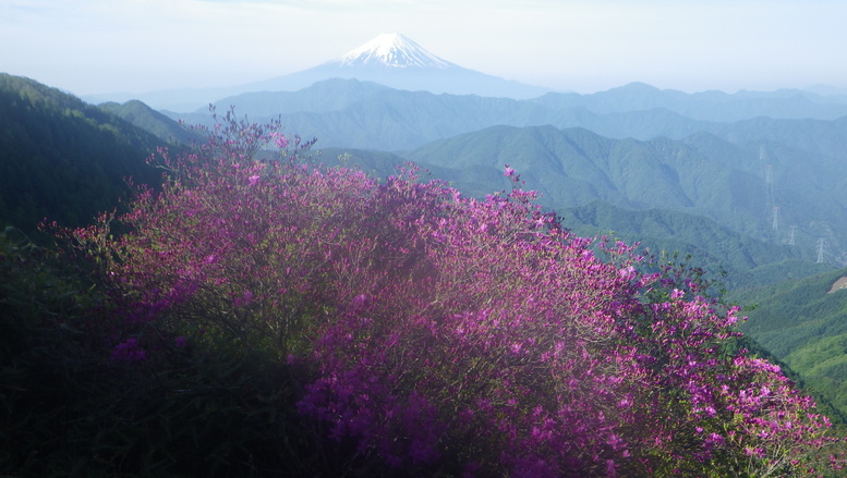 大蔵高丸からの絶景