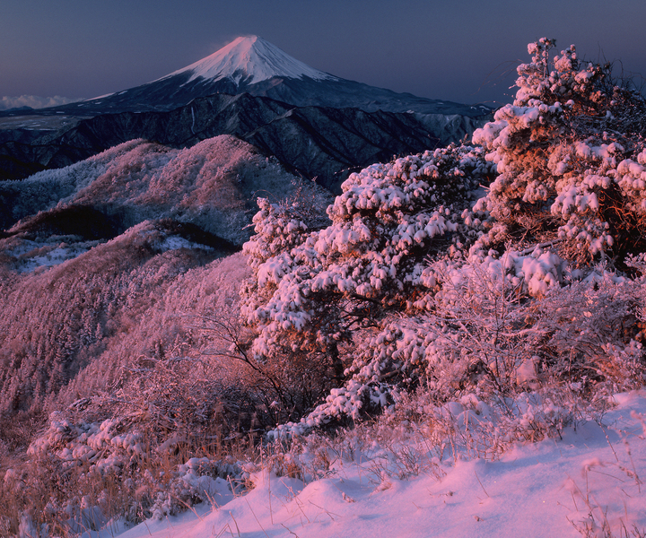 ハマイバからの絶景