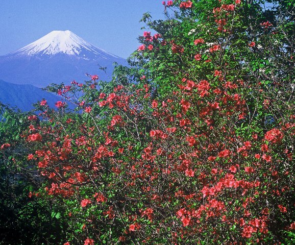 高川山からの絶景