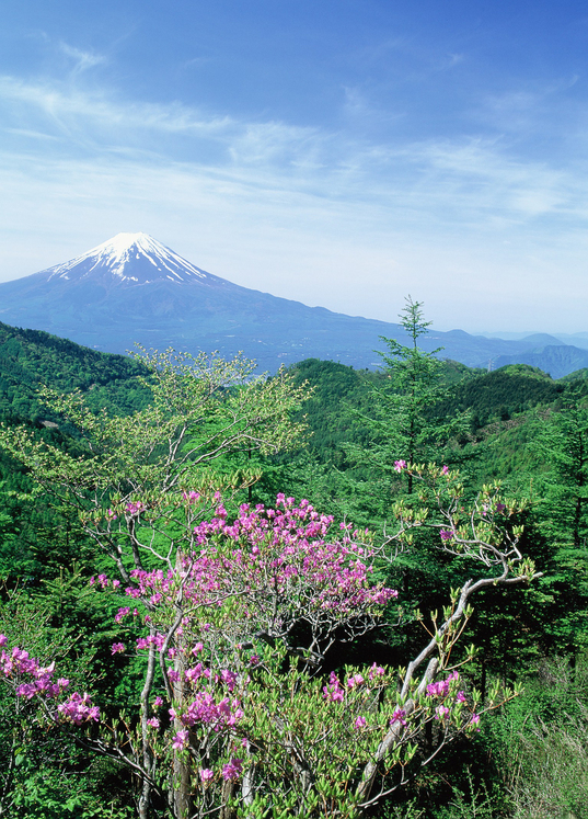 清八山からの絶景