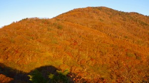 雁ヶ腹摺山