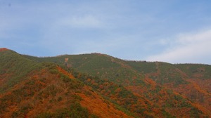 奈良倉山