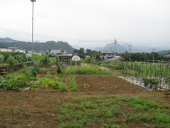 ふれあい農園・さるはしの写真